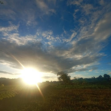 sunrise