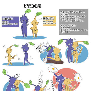 不思議ないきものまとめ