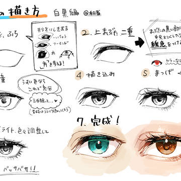 目の描き方