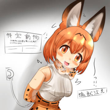 特定動物フレンズ(着ぐるみ)