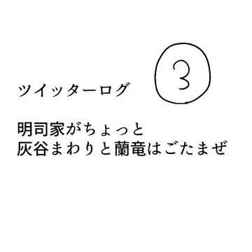 ついろぐ③