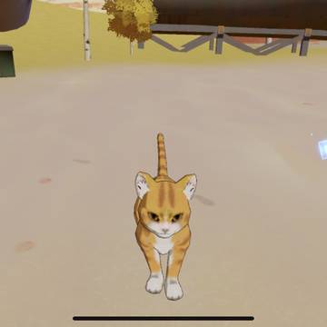 Neko in Tower of Fantasy