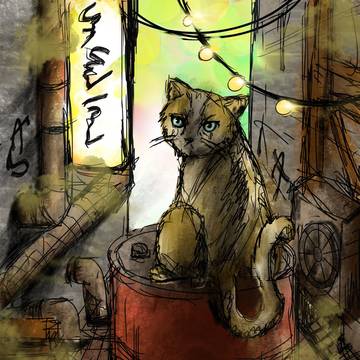 猫