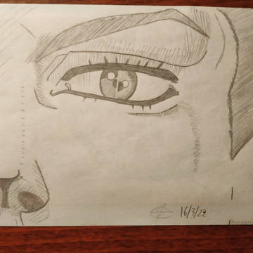 A Drawing a Day