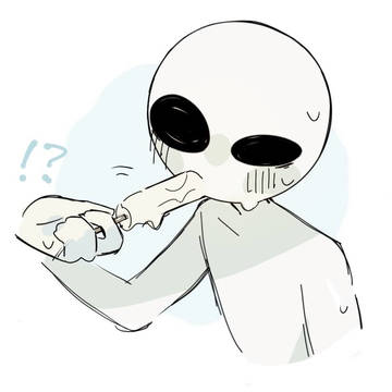 半年ぶりです