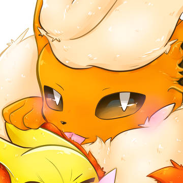毛繕い🦊🔥
