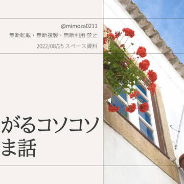 2022/08/25ツイッタースペース資料 ぽるとがる概要
