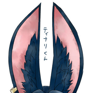 原神ティナリくんの耳
