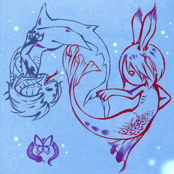 毒持ち熱帯魚とケンカ好きのサメの話