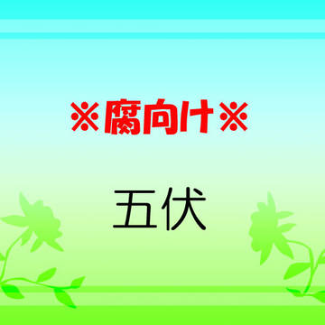 【腐向け】好き