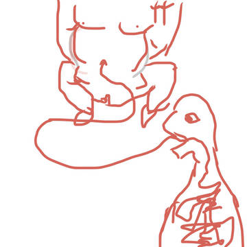パクパクくん