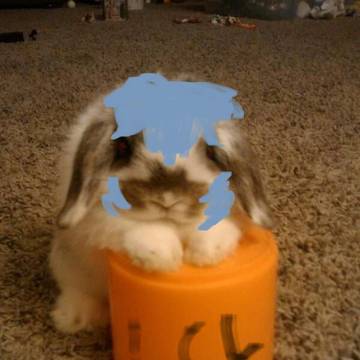 ゲンドウ|レイ