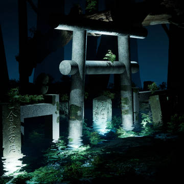The Gate in Forest