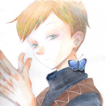 ルリシジミと少年
