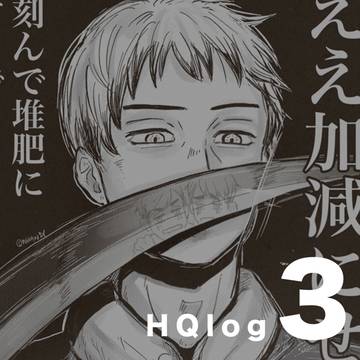HQ log3