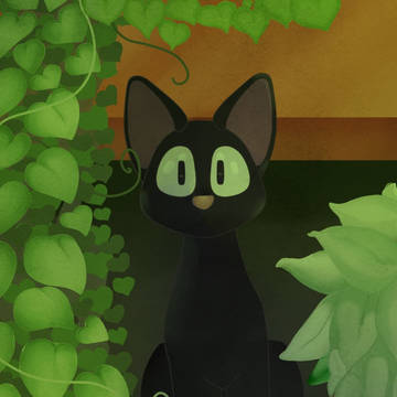 Jiji
