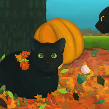 Black cats