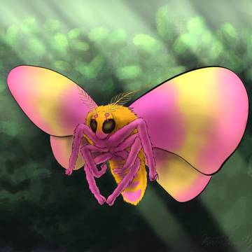 Sugar Maple Moth