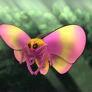 Sugar Maple Moth