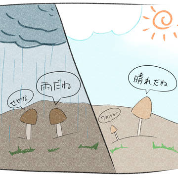 【すごい】きのこって会話してるらしい