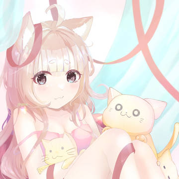 ねこのいる空間