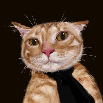 ねこ