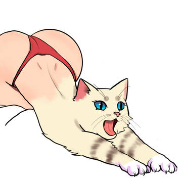 sexy cat