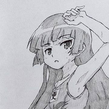 黒猫