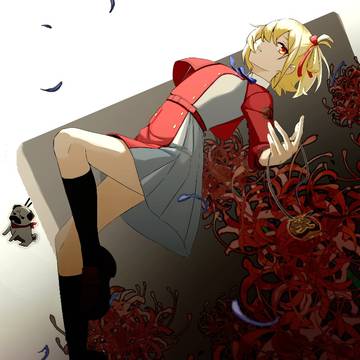 Lycoris