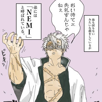 求む、Nemi砲