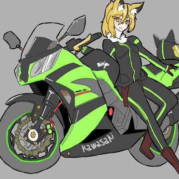 Kawasaki ninja250