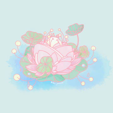 蓮