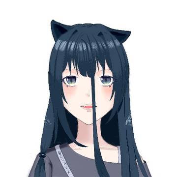 画了皮套