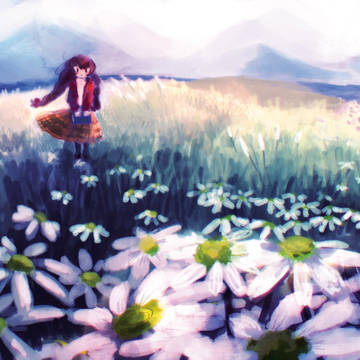 Chamomile