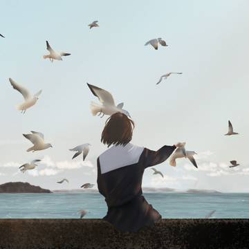 birds and sea