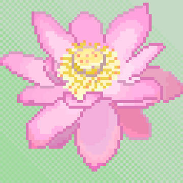 【荷花】