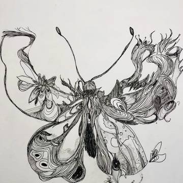 蝶🦋
