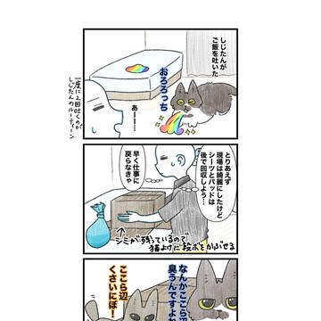 こういう時だけ団結力発揮する猫たち