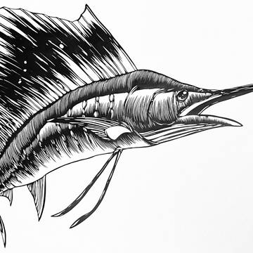 切り絵・バショウカジキ