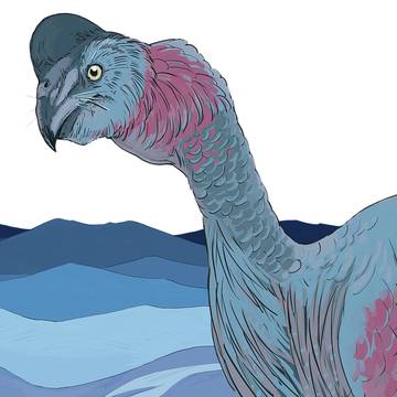 CitiPati