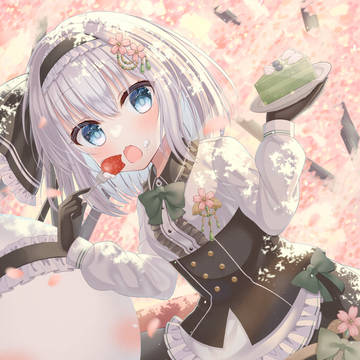 お菓子とゴスロリ妖夢ちゃん