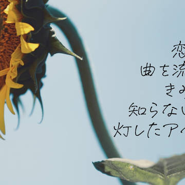 夏の短歌短文