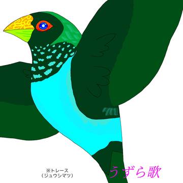 ジュウシマツ（トレース）