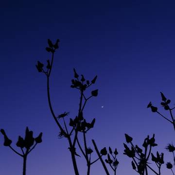写真log1