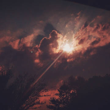 写真log2