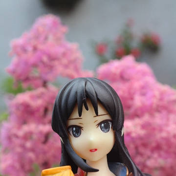 Sakura Mio Akiyama