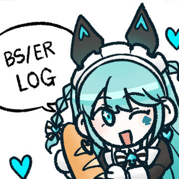 BS/ER LOG
