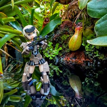 Swamp Patrol