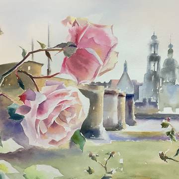 ドレスデンの薔薇