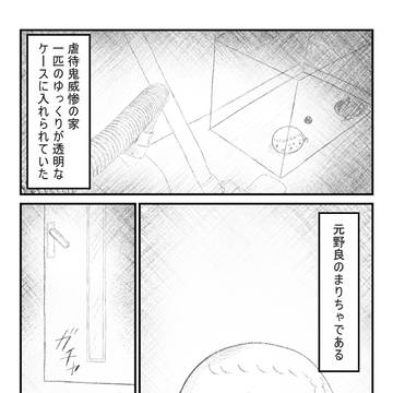 籠の中のまりちゃ